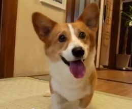 �᤯�ܡ��뤬�ߤ����ƥ����Х���­Ƨ�ߤ����㤦������������ʡ�����