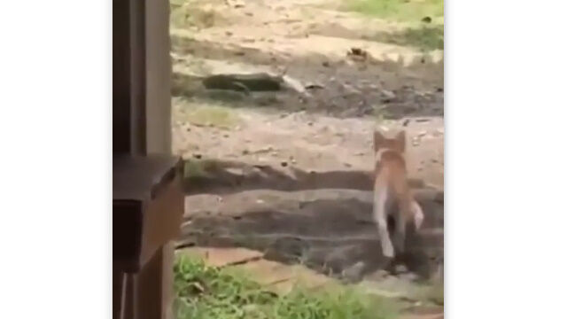 ���ˤ�̴��ǡ����˰ʳ��ζðۤ��������դ��Ƥ��ʤ��ä�ǭ