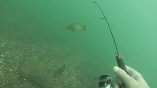その発想はなかった!魚の反応をじっくり見ながら水中で楽しむバス釣り