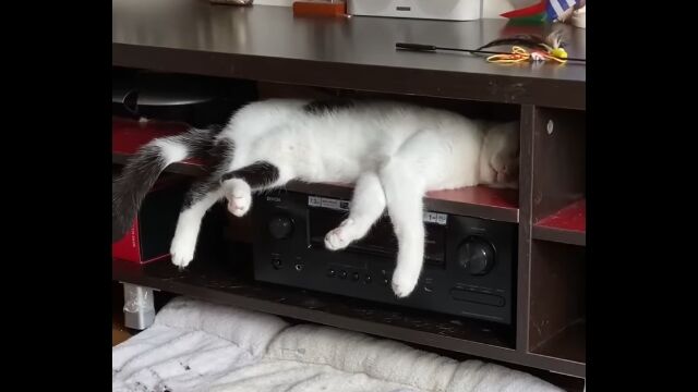 ̴������ԥ��å��夷��ǭ���󡢸��¤Ǥ��ԥ��å��夷�Ƥ��ޤ������