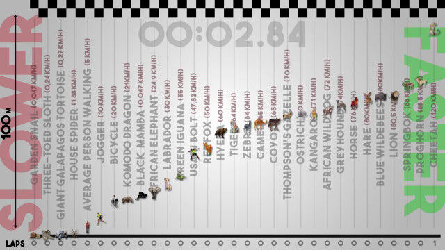 �����٤�ưʪ�������®��ưʪ�ޤǡ�31����¤٤�®����Ӥ�������������