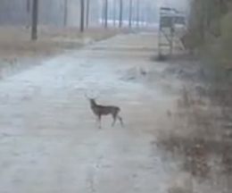 ���Υϥ󥿡����⤦����Ϥ�᤿���������Ȼפ�