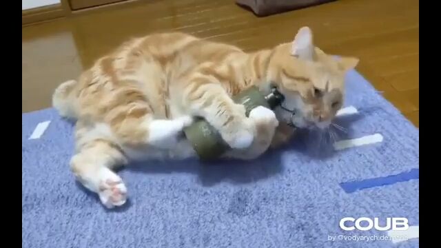 �ڲ������ա�ǭ�˥������Ȥ��ƥ���͡��ɤ�Ϳ���ƤϤʤ�ʤ�