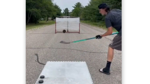 �ۥå������ƥ��å��ǥѥå������ǽ�Ϥ��⤹���롢�������ۥå�������Υȥ졼�˥�����