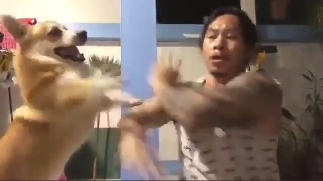 �֥ޥȥ�å����פγ��åͥ��Τ��Ȥ������������ι���򤢤��餦��