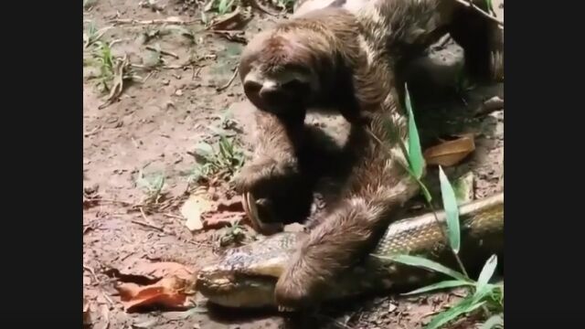 ������ʥޥ���ΤȤϤ������⤦����äȼ�ʬ��̿�����夷�Ƥ⤤���󤸤�ʤ����Ȼפ��ִ�