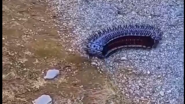 キャタピラだけが動くという発想の、狭所作業用ロボット