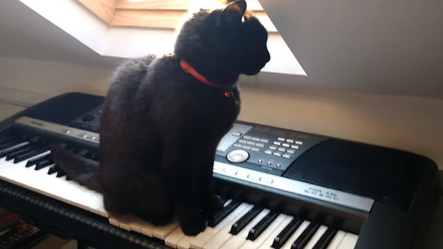 �ۥ顼�ǲ�˻Ȥ�줽���ʲ��ڤ�����դǤ���ǭ