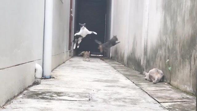 ϩ΢ɤͤ⡢3ɤǭˤ路֤ƨǭʹ