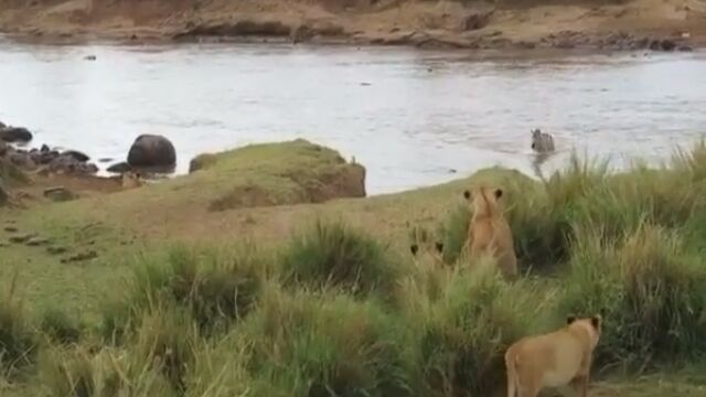 ޥޤϤäǥ饤ԤǤϤĤɤ˴Ǥ뤫狼ʤ