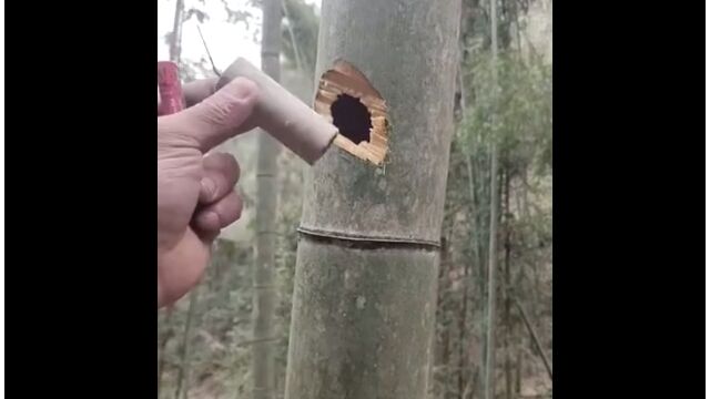 �ݤ���¦�������ˤ���Ȥ����ʤ�