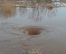 ����Ϥ��ä��������Ф����ï����ȴ�����ߤ����ʱ���������