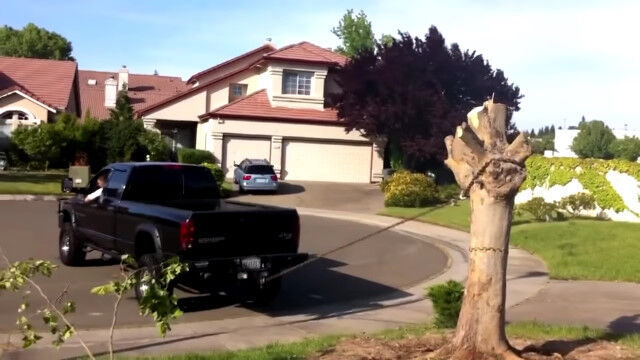 車のパワーで切り株を引っこ抜く映像集
