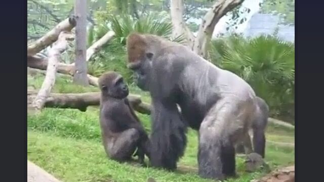 ʹ֤Ʊ㤷᤮ҶƤܤȤ