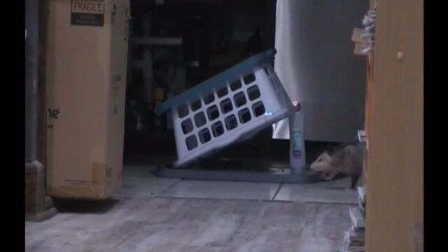 �Ȥ���������������ݥå���򡢸�ŵŪ�ʥ���櫤����