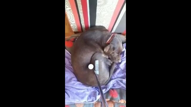 ���Ǥ��줬�����������Ȥ���ǥѥ�������դ��Ƥߤ�����������