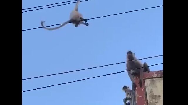 ���Ƥ��뤳�ä���ҥ�ҥ䡣��ƤΤ�ȤعԤ������Τˡ��ݤ��ƥ����פǤ��ʤ�����֤����