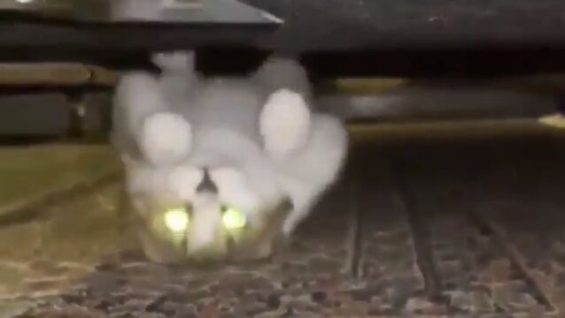 �դ��ް�ư�����꤯���ͻҤ���̯�����ɲİ���ǭ