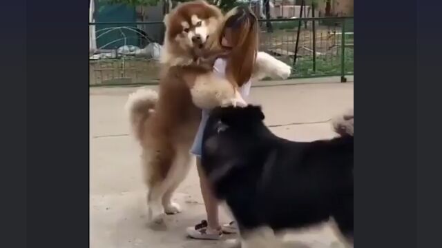 ʹ֤礭ʤդա礭Τʹ֤Τġ