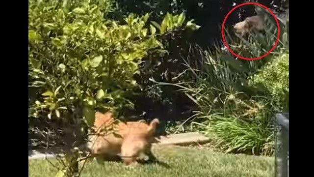 ΢�������९�ޤ��������ȯ�����ʤ�Ω�Ƥ�΢�������ɤ�ʧ��