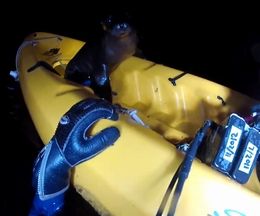 ��γ����⤫�֥���å��˾�����Ǥ��������ʳ���