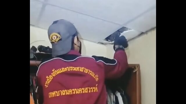 ŷ��΢���������ʥإӤ���ͤ�������ʪ