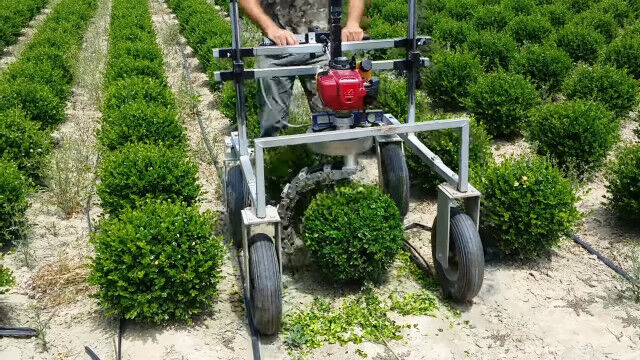 植物を次々と美しい球体にカットする専用バリカンマシン