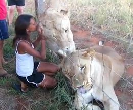 �礭�ʥ饤����2Ƭ��ʥǥʥǤ��ޤ��ꡢ�������ޤ��뤪�Ф���