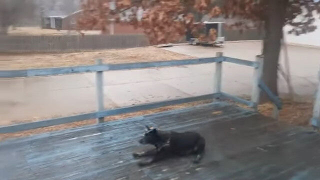 Ǩ�줿���åɥǥå��Ƿݽ�Ū�ʥ��饤�ǥ��󥰤򸫤�����