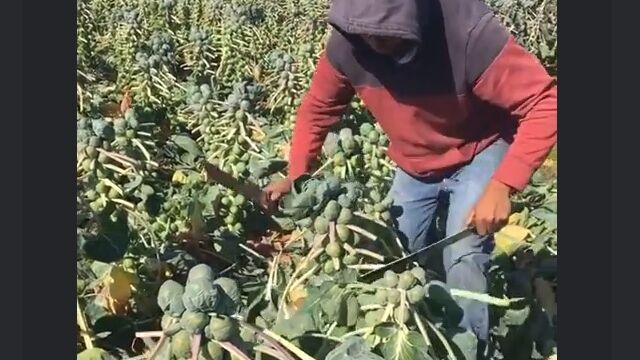 �ꥭ��٥Ĥμ��ϡ�����ή���ᤵ�Ф���������