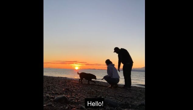 夕日を背景にロマンチックな動画を撮影していたカップル、犬に雰囲気をぶち壊される