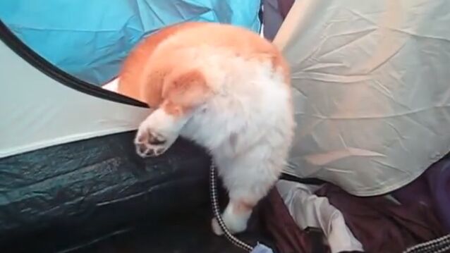 �����󤻤�­��û���ơ��ƥ�Ȥ���ʤ��ʤ��Ф��ʤ������������Υ��åɤ���