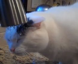 ��Ӥ�褦�˿����ߡ�Ǩ�줿��򥿥���ǿ���ǭ