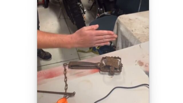 トラバサミに空手チョップを食らわせるという、飲みの席での余興