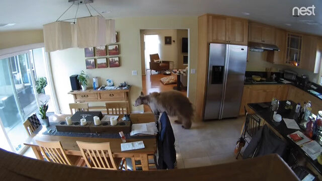 åΥɥΥޤ2ɤθɤФͻҤȤ館ȥ