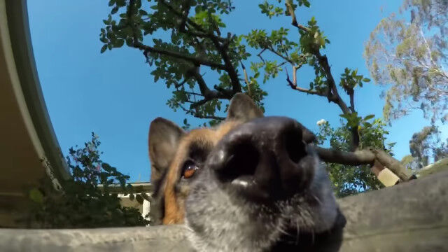 Ͽ����Υ����������������礫��ƨ��³���븤