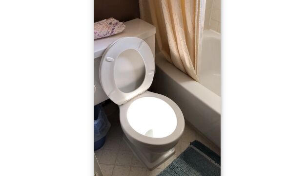 �դȽ��ˤ��������������ۤθ��ǵ����ȥ���