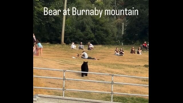 人間を恐れず近づいていくクマは怖い