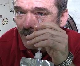 ̵���Ͼ��֤ǵ㤯���ޤϤɤ��ʤ롩�������ԻΥ��ꥹ���ϥɥե�����ɤ���μ¸�����