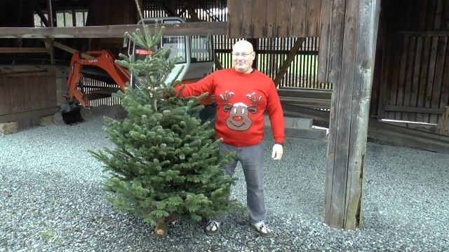 クリスマスに相応しく、クリスマスツリーを撃ち出す大型スリングショットを作ってみた