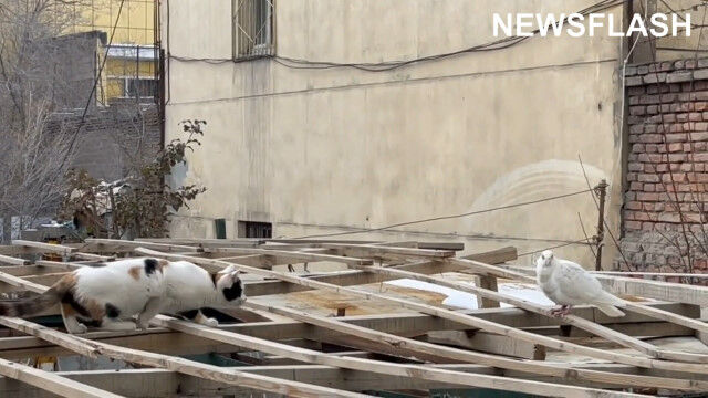 �ϥȤζ᤯�ޤ�Ǧ��­������Υ����Ԥ�����򷫤�Ф�ǭ