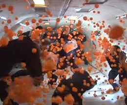 ̵���Ͼ��֤����Ӹ�2000�ĤΥԥ�ݥ�̡�ι�ҵ�����Ǥι���ǳڤ����ʳؼ¸�