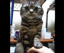 ǭ�֤��䡢�⤦�빽�ץ�ե�դ����Τ���ݤ���ǭ