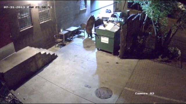 ɤͤƤοͤȤפʤޤȥª