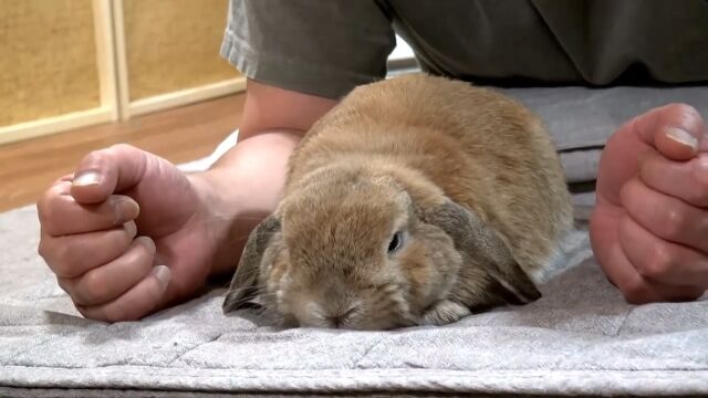 ��Ǥ���ߤ��ȥ�å����¥���Ƥ��륦�����Υ���åפ���