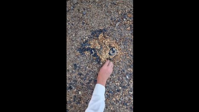 �����������ޤ��ǭ�������ο����¤��ؤ������������ƥ����ȡ�