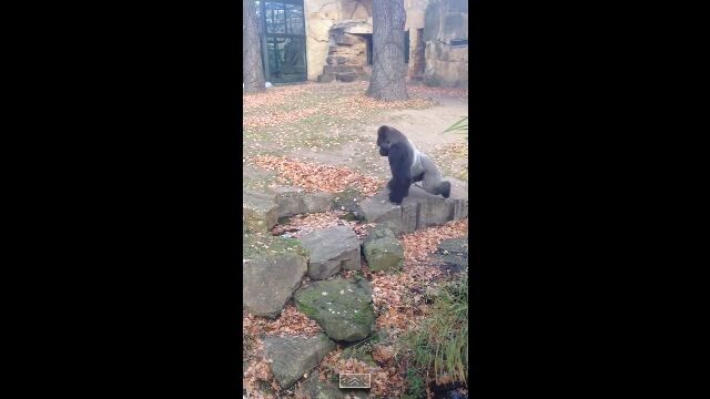 ���Ȥ�Υ��Ƥ��Ƥ⥴���äƤ�Ĥ����ǤǤ��ʤ�������¸��