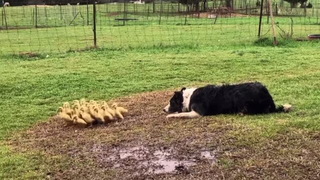 ͥ�������Ӹ��ϡ��ҥ��⤿�����ɤ��Τ���