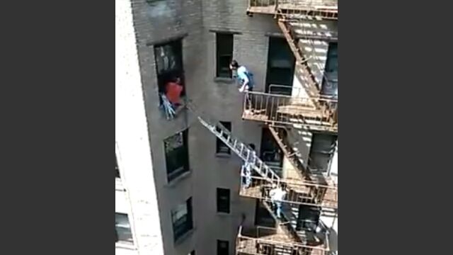 ˥塼衼ΥѡȲкҤƨ٤줿ٿͤε߽з