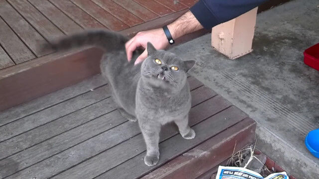 �Ҵ��ʿ����ΤĤ�����亮��亮����Ǥ��ơ������ԳФ˴٤äƤ��ޤ�ǭ